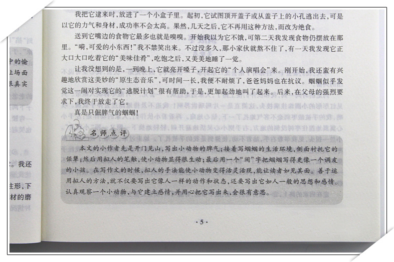 小学生同步作文能力提升 人教版语文教材同步 小学3/4/5/6年级上下册作文同步练习三四五六年级作文大全 小学作文辅导资料书新课标