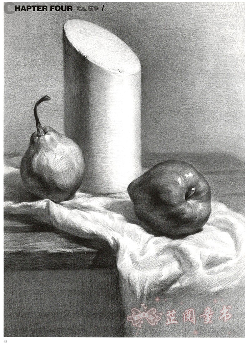 2019绘画基础自学指南单体静物敲门砖李家友铅笔素描入门临摹教程高艺