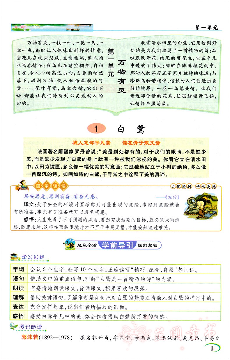 3本2020新版 阳光同学特级教案六年级上册语文数学英语PEP版人教部编RJ版6年级教材同步教学分析