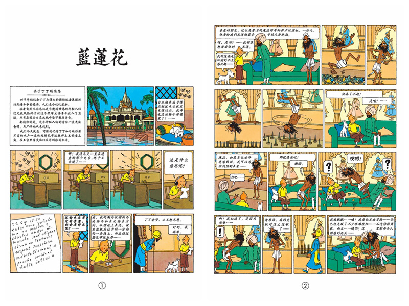 丁丁历险记（全22册）8-10-14岁儿童图画漫画书小学初中生课外阅读物书籍 中国少年儿