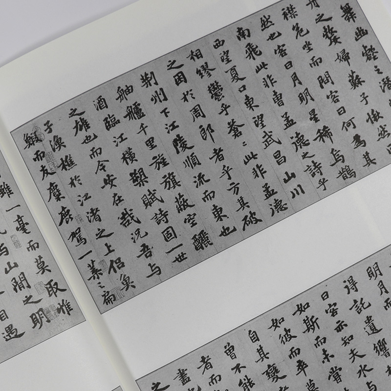 【选3本49包邮】苏轼行书临习技法精解-历代名家碑帖临习技法精解//尺牍名品书寒食帖赤壁赋黄州寒食诗帖赤壁赋天下三大行书 籍