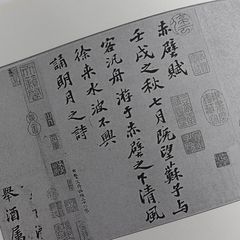 【选3本49包邮】苏轼行书临习技法精解-历代名家碑帖临习技法精解//尺牍名品书寒食帖赤壁赋黄州寒食诗帖赤壁赋天下三大行书 籍