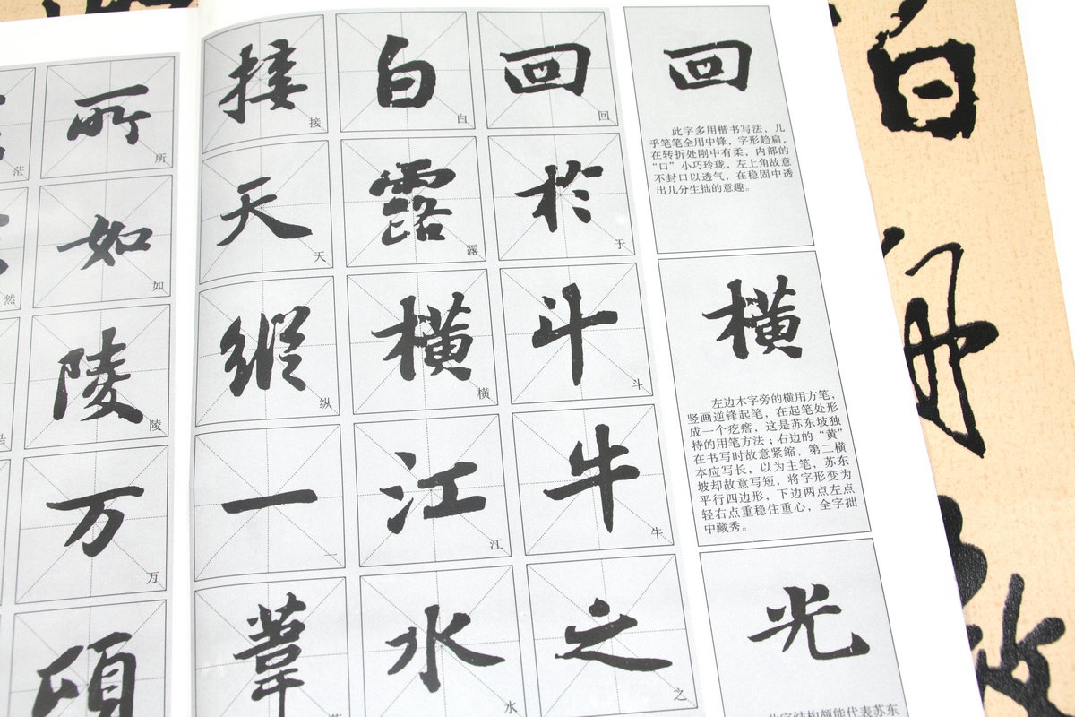 【选3本49包邮】苏轼行书临习技法精解-历代名家碑帖临习技法精解//尺牍名品书寒食帖赤壁赋黄州寒食诗帖赤壁赋天下三大行书 籍