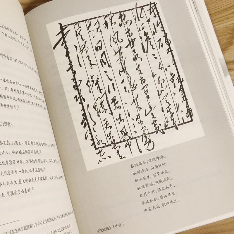 《话语桃花源》（徐效钢 著） 话语桃花源：毛泽东庐山读书用典   话语桃花源(毛泽东庐山读书用典)