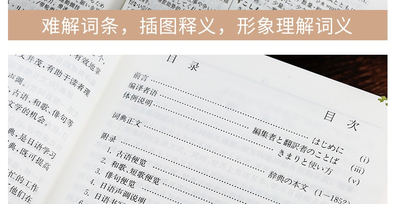 【领券减5元】新版外研社 日汉双解学习词典  增补汉字音训读法索引 日语词典 日汉词典 中日词