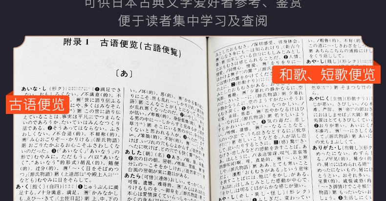 【领券减5元】新版外研社 日汉双解学习词典  增补汉字音训读法索引 日语词典 日汉词典 中日词