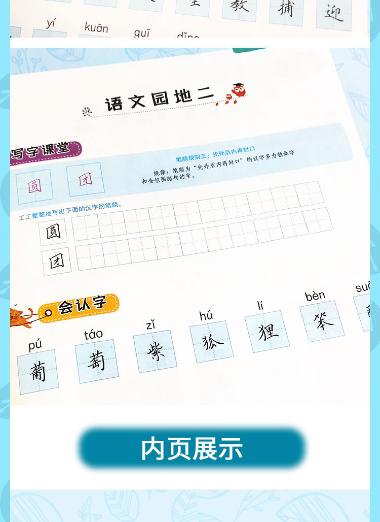 二年级上册字帖 写好中国字 2020部编人教版小学二年级上册语文同步练字帖 课本教材同步描红本抄写本