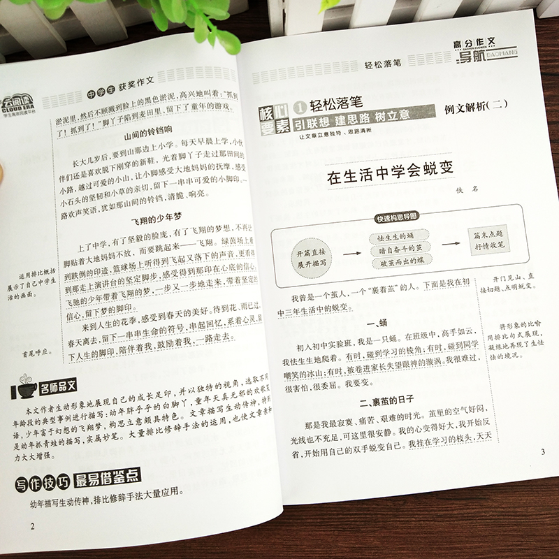 初中生中学生获奖作文大全初中作文辅导书籍2020人教版作文素材分类作文书作文精选中考满分作文初一