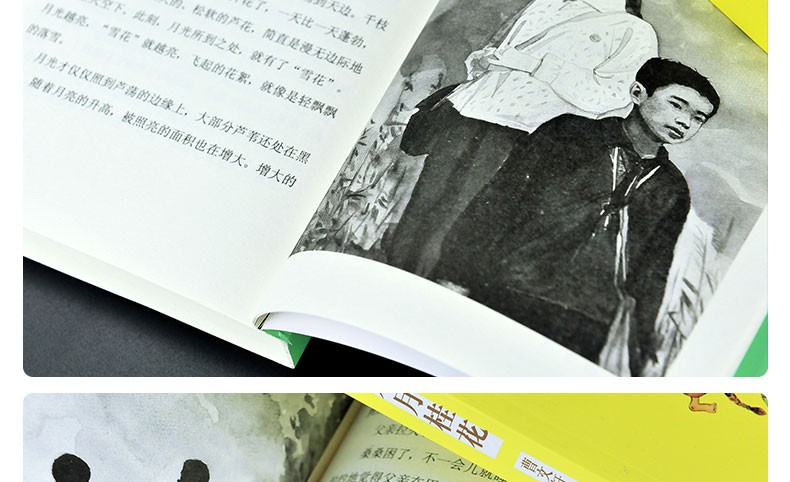 稻香渡/曹文轩精品集 儿童文学系列9-12-15岁小学生三四五六年级作文阅读畅销书籍寒假推荐课外读物