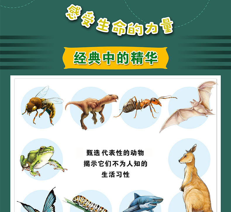 奇妙的科学全套10册 幼儿绘本3-6-8周岁幼儿园大班动物世界儿童图书一年级科普百科读物恐龙书籍漫画