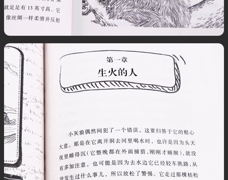 【学校指定版】沈石溪动物小说全集正版全套8册 小学生一二三四五六年级课外阅读书籍少儿童文学必读读物