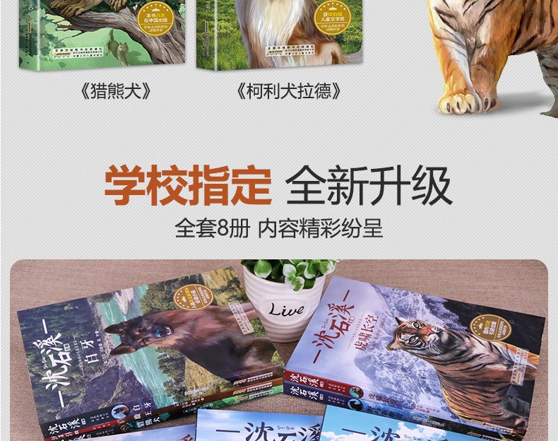【学校指定版】沈石溪动物小说全集正版全套8册 小学生一二三四五六年级课外阅读书籍少儿童文学必读读物
