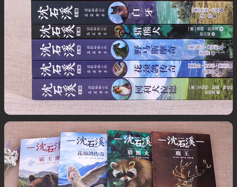【学校指定版】沈石溪动物小说全集正版全套8册 小学生一二三四五六年级课外阅读书籍少儿童文学必读读物