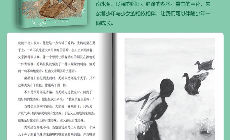 稻香渡/曹文轩精品集 儿童文学系列9-12-15岁小学生三四五六年级作文阅读畅销书籍寒假推荐课外读物