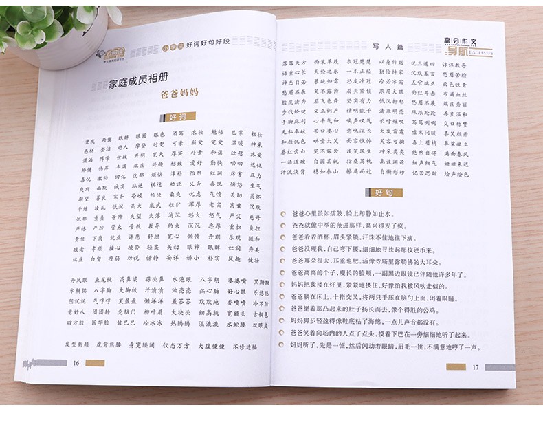 老師推薦2019好詞好句好段大全小學生大全集書積累書