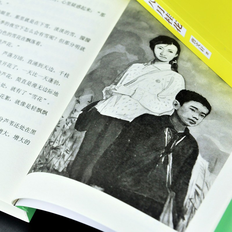 稻香渡/曹文轩精品集 儿童文学系列9-12-15岁小学生三四五六年级作文阅读畅销书籍寒假推荐课外读物