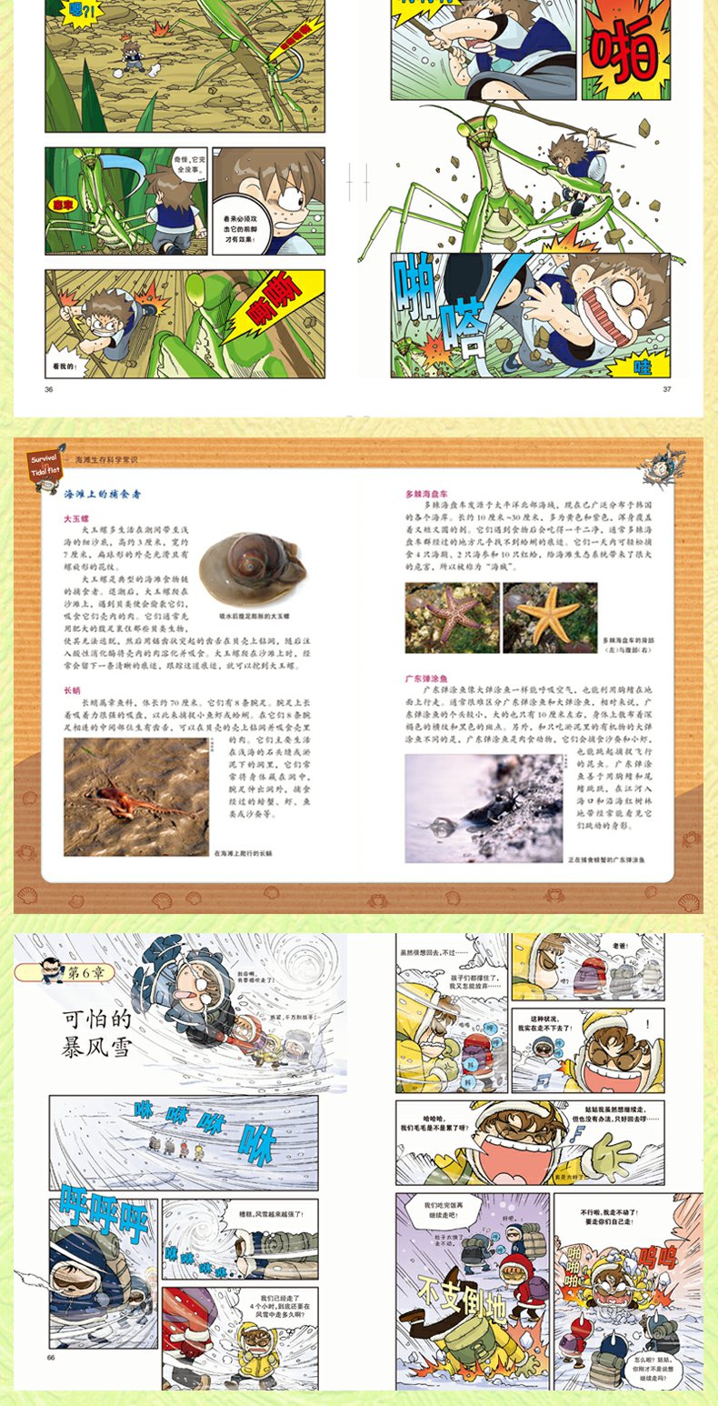 我的第一本科学漫画书 绝境生存系列1无人岛探险记漫画版荒野求生 小学生课外读物7-14岁少儿童故事书