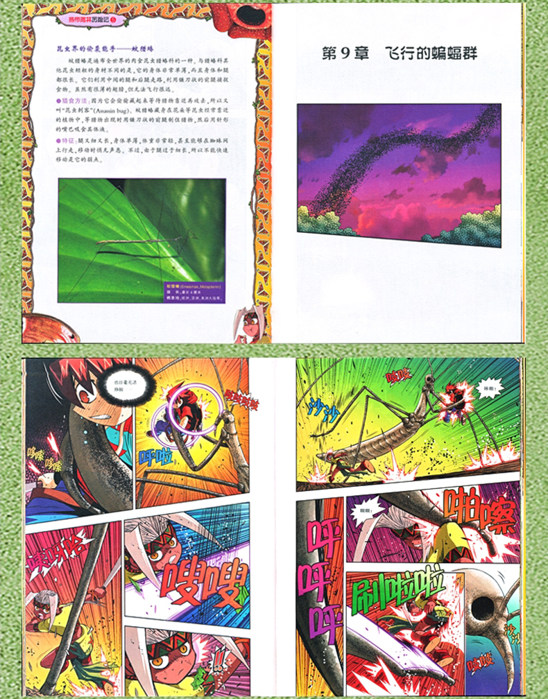 7-14岁 我的第一本科学漫画书 热带雨林历险记1云豹的怒吼 适合中小学生课外阅读 森林科普百科漫画