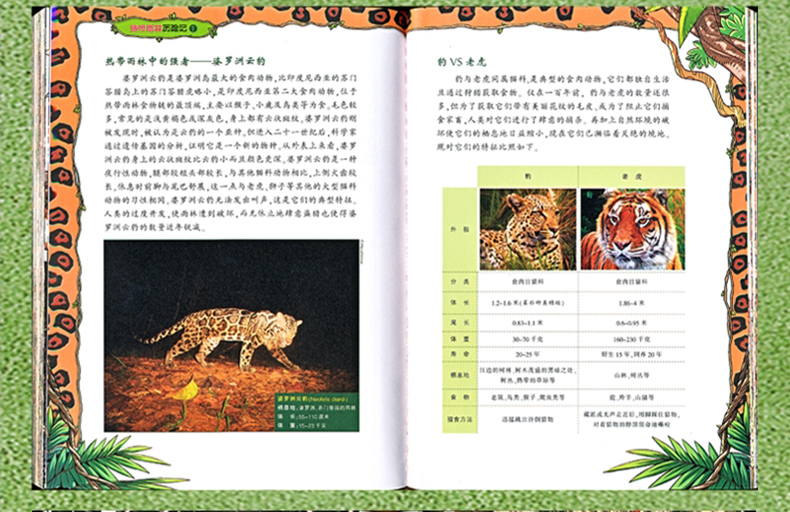 7-14岁 我的第一本科学漫画书 热带雨林历险记1云豹的怒吼 适合中小学生课外阅读 森林科普百科漫画