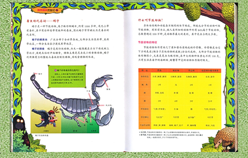 7-14岁 我的第一本科学漫画书 热带雨林历险记1云豹的怒吼 适合中小学生课外阅读 森林科普百科漫画