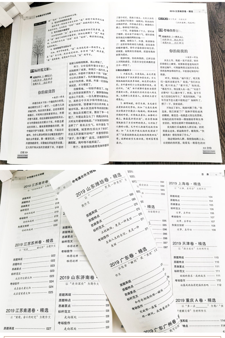 2020新版 智慧熊名校天下2019全国中考满分作文特辑 初一二三作文大全初中学生分类记叙议论文作文