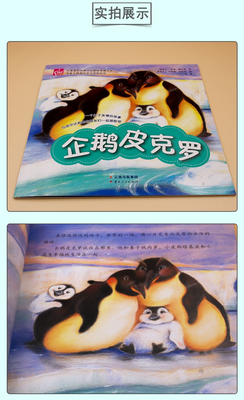 企鹅皮克罗宝宝睡前启蒙小故事书幼儿园小班大班早教书0-3-6-8岁亲子