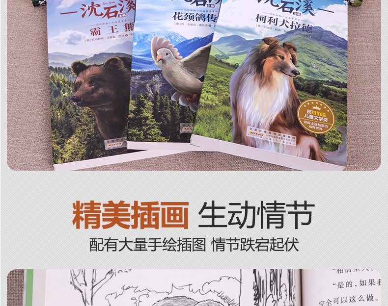 【学校指定版】沈石溪动物小说全集正版全套8册 小学生一二三四五六年级课外阅读书籍少儿童文学必读读物