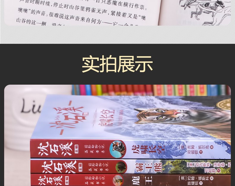 【学校指定版】沈石溪动物小说全集正版全套8册 小学生一二三四五六年级课外阅读书籍少儿童文学必读读物