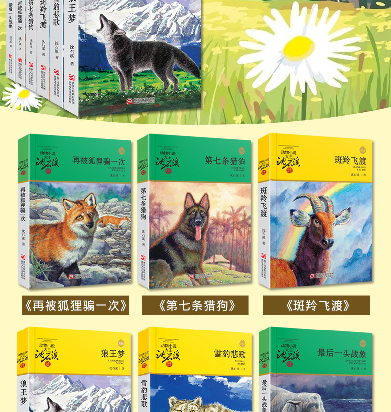 沈石溪动物小说全集系列作品大全共6册 狼王梦第七条猎狗11-14岁小学生课外书