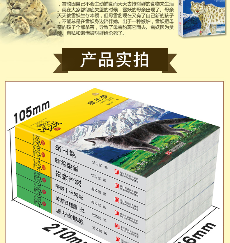 沈石溪动物小说全集系列作品大全共6册 狼王梦第七条猎狗11-14岁小学生课外书
