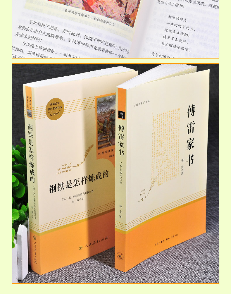 全2册 人教版 傅雷家书+钢铁是怎样炼成的 八年级下册 名著阅读课程化丛书 2本套装