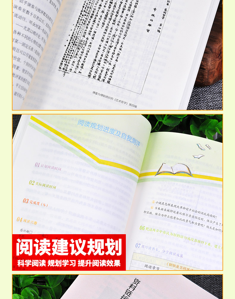 全2册 人教版 傅雷家书+钢铁是怎样炼成的 八年级下册 名著阅读课程化丛书 2本套装