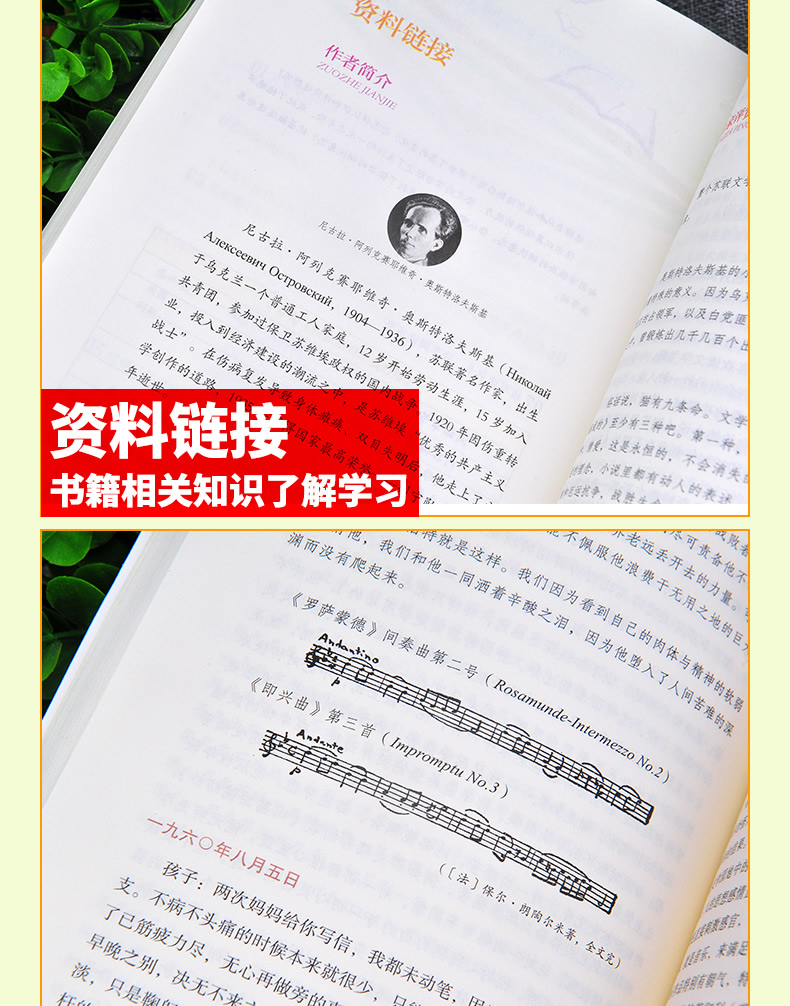 全2册 人教版 傅雷家书+钢铁是怎样炼成的 八年级下册 名著阅读课程化丛书 2本套装