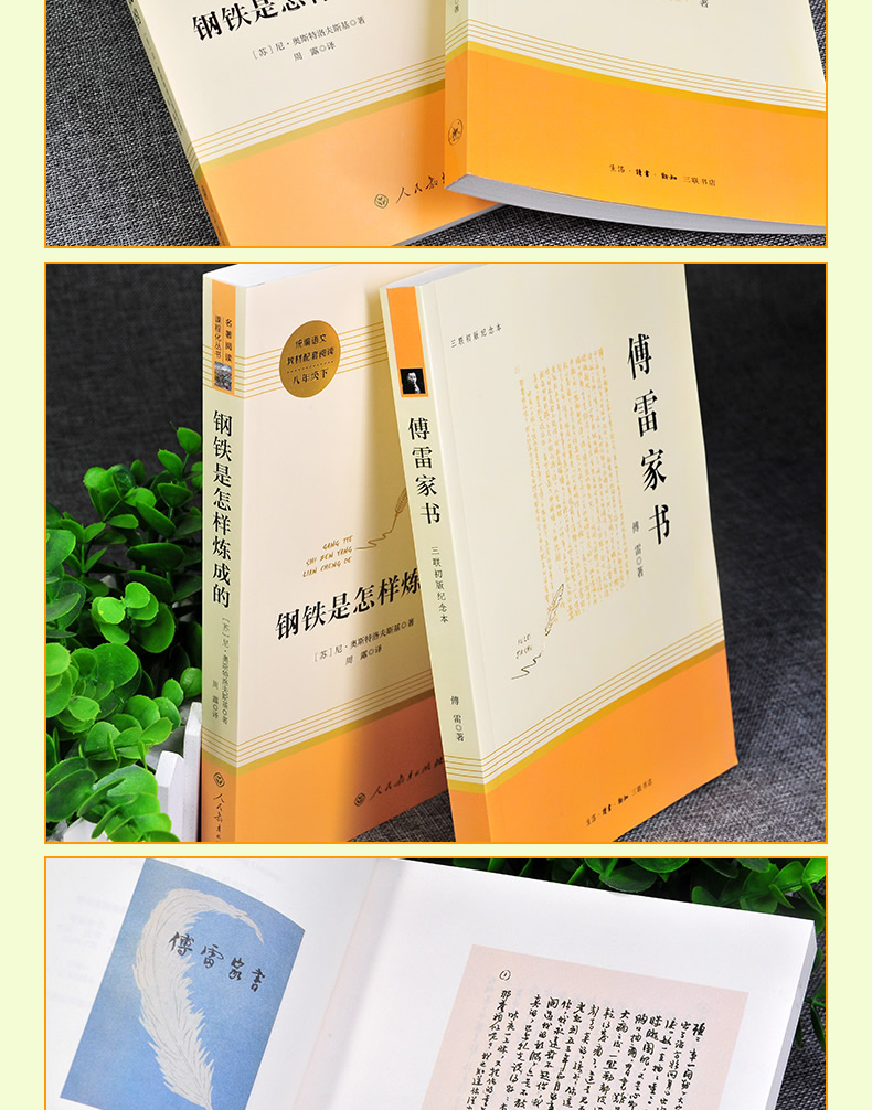 全2册 人教版 傅雷家书+钢铁是怎样炼成的 八年级下册 名著阅读课程化丛书 2本套装
