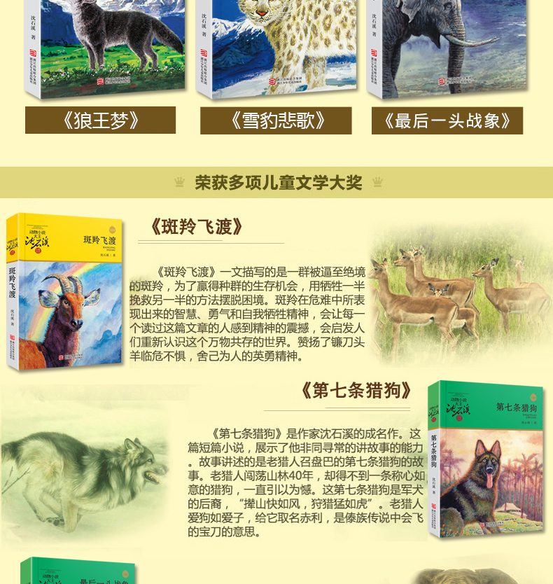 沈石溪动物小说全集系列作品大全共6册 狼王梦第七条猎狗11-14岁小学生课外书