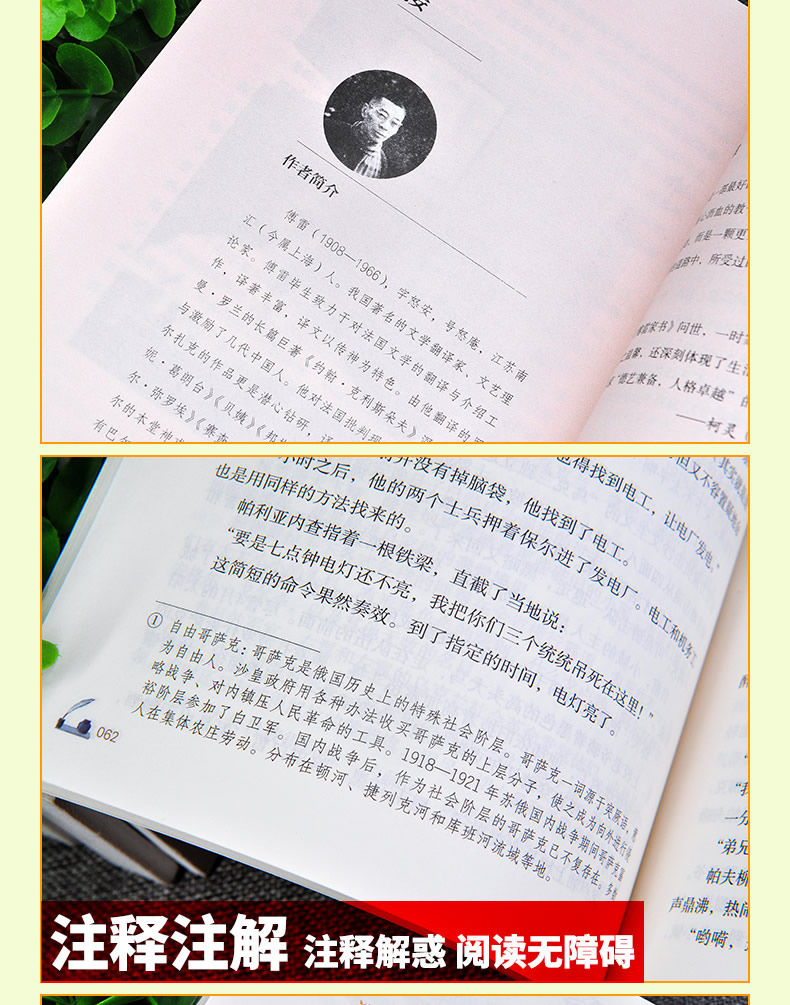 全2册 人教版 傅雷家书+钢铁是怎样炼成的 八年级下册 名著阅读课程化丛书 2本套装