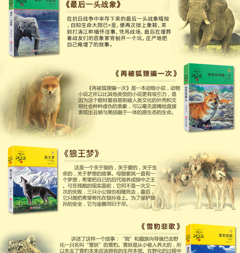 沈石溪动物小说全集系列作品大全共6册 狼王梦第七条猎狗11-14岁小学生课外书