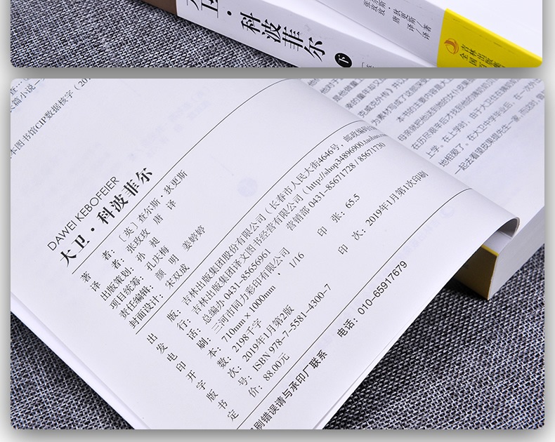 大卫科波菲尔英汉对照英语大书虫世界经典名译典藏书系