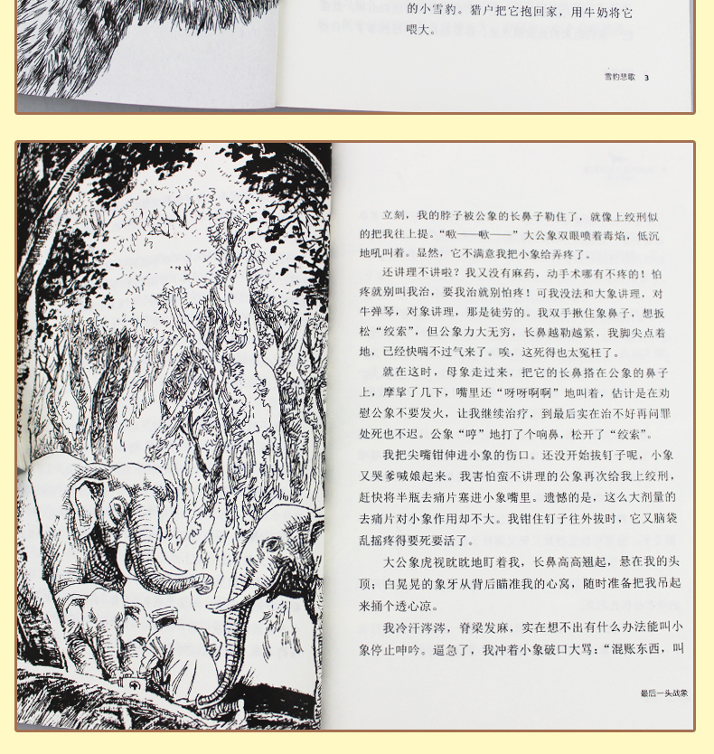沈石溪动物小说全集系列作品大全共6册 狼王梦第七条猎狗11-14岁小学生课外书