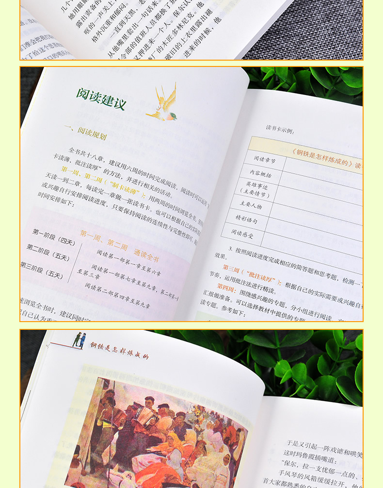 全2册 人教版 傅雷家书+钢铁是怎样炼成的 八年级下册 名著阅读课程化丛书 2本套装