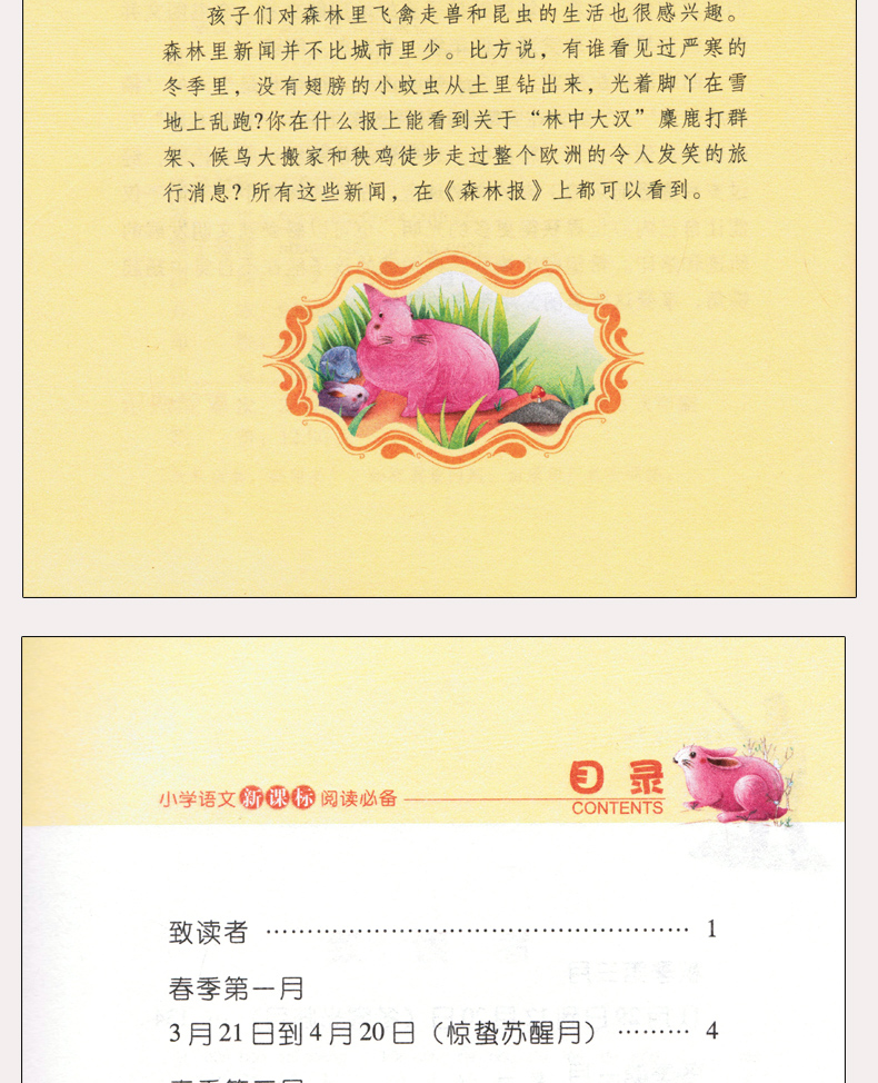 完整版合订本 森林报注音版春夏秋冬正版老师推荐三四年级课外书必读语文7-8-9-12周岁阅读