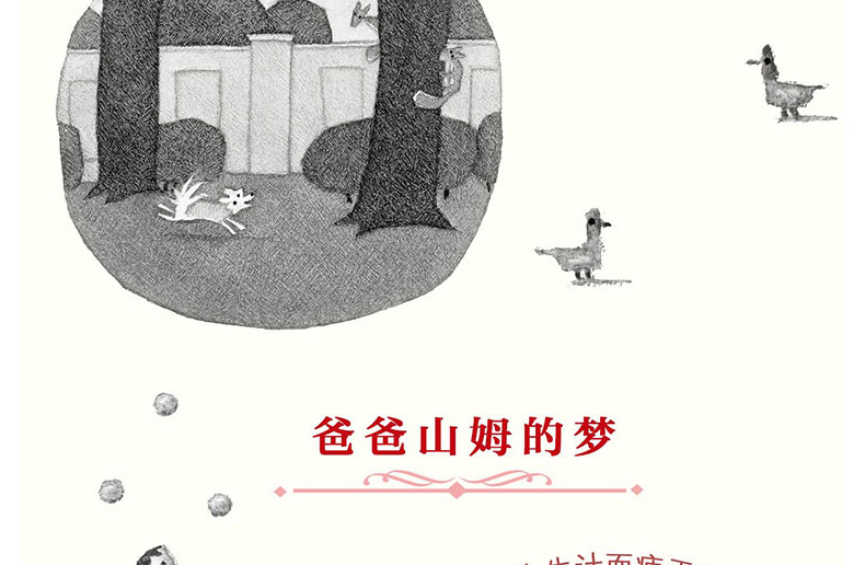 正版 小狗露西 4-10岁奇想国儿童图画书 细腻的铅笔画面如电影般唯美 关注心灵成长充满爱心的章回体
