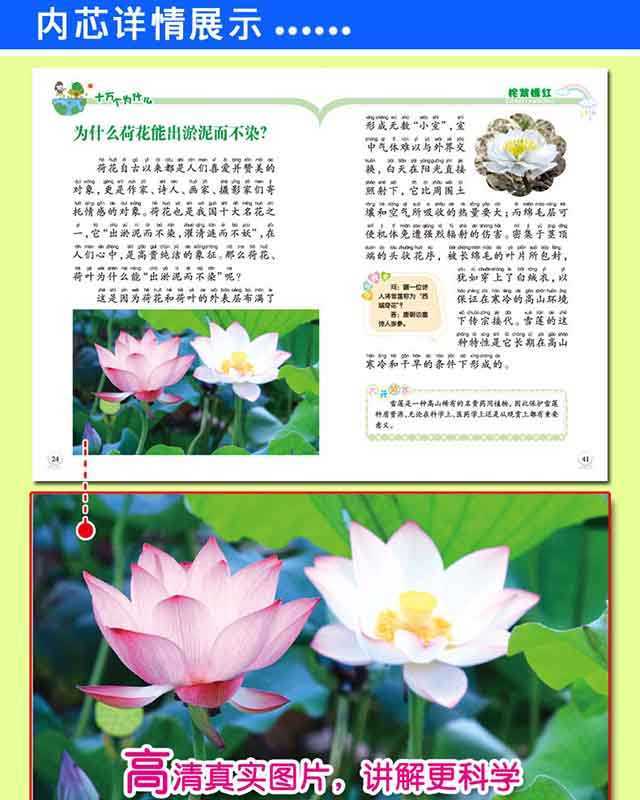 全8册十万个为什么儿童科普百科全书老师推荐少儿益智图书小学生版 4-6-7-8-10-12周岁课