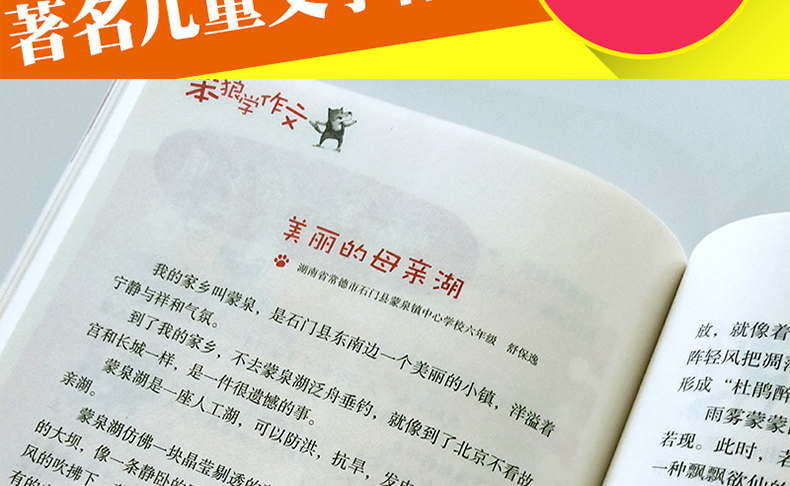 笨狼学作文1-2 3456年级全套5册 汤素兰 小学生作文起步教辅阅读提高写作文大全 小学作文
