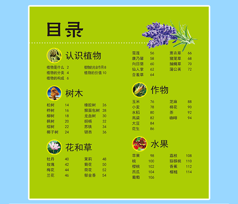 多彩童年我爱读系列 动物+植物+太空+舰船大百科 全4册 全彩注音版 儿童科普百科全书