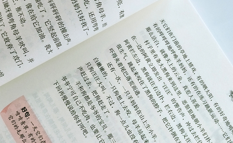 笨狼学作文1-2 3456年级全套5册 汤素兰 小学生作文起步教辅阅读提高写作文大全 小学作文