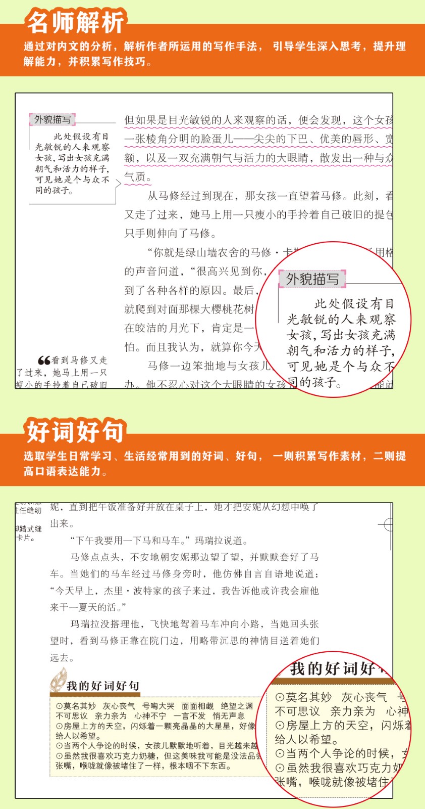 绿山墙的安妮 名师导读版世界文学名著语文必读书籍推荐中小学生课外阅读书儿童读物