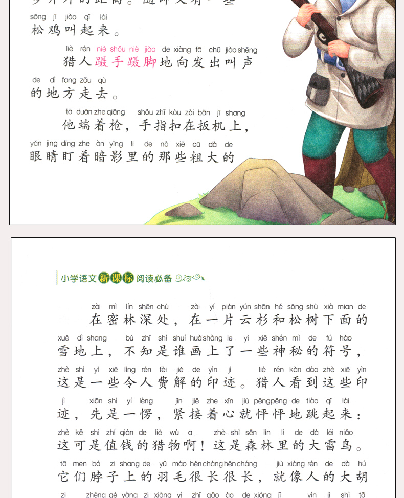 完整版合订本 森林报注音版春夏秋冬正版老师推荐三四年级课外书必读语文7-8-9-12周岁阅读