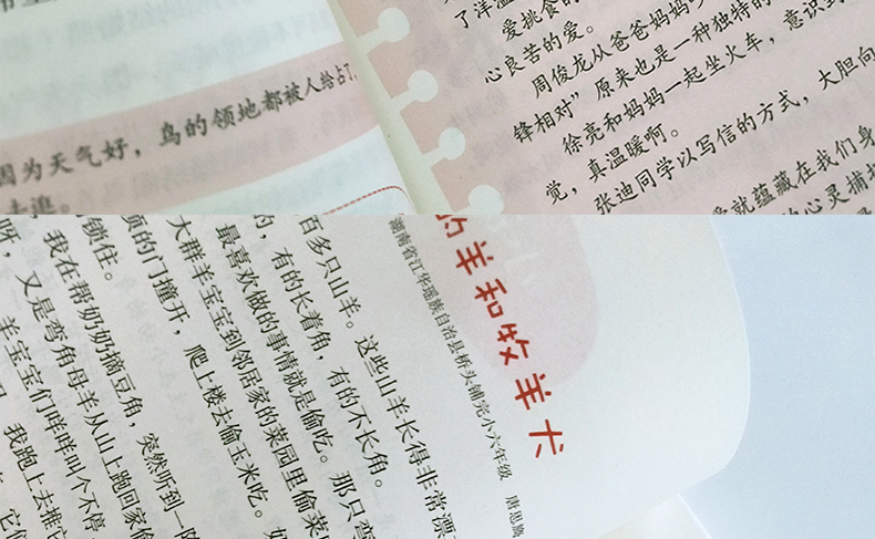 笨狼学作文1-2 3456年级全套5册 汤素兰 小学生作文起步教辅阅读提高写作文大全 小学作文
