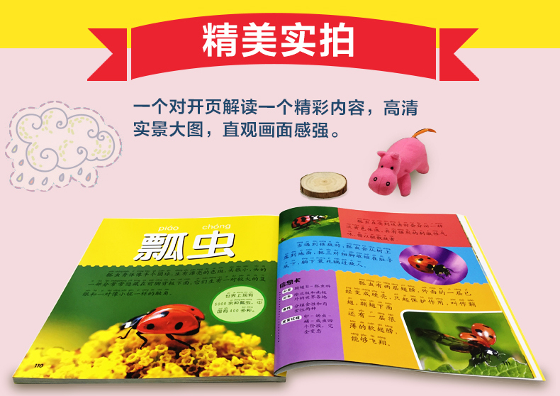 多彩童年我爱读系列 动物+植物+太空+舰船大百科 全4册 全彩注音版 儿童科普百科全书